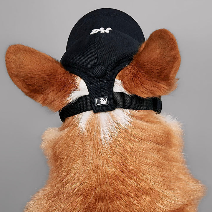 NY Yankees Dog Hat