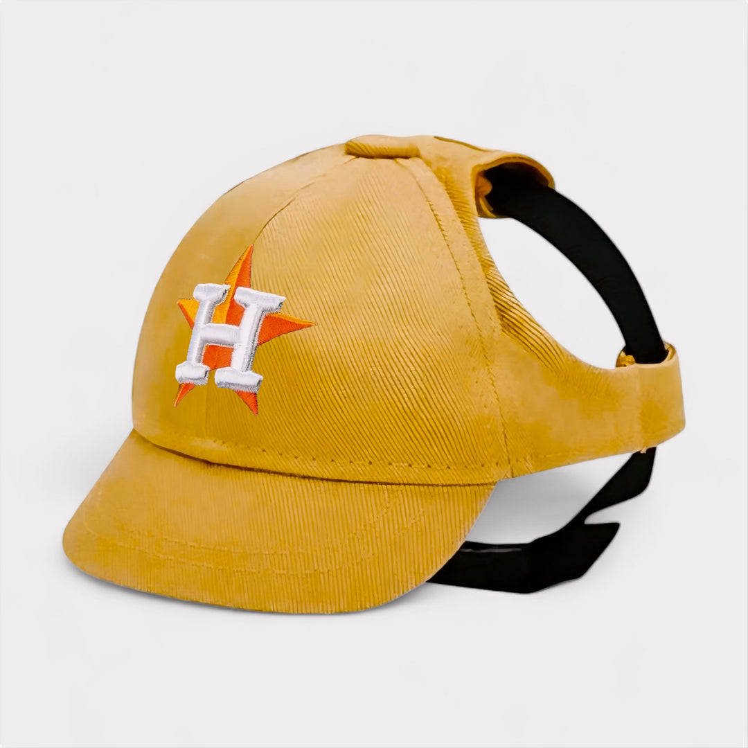 Houston Astros Dog Hat