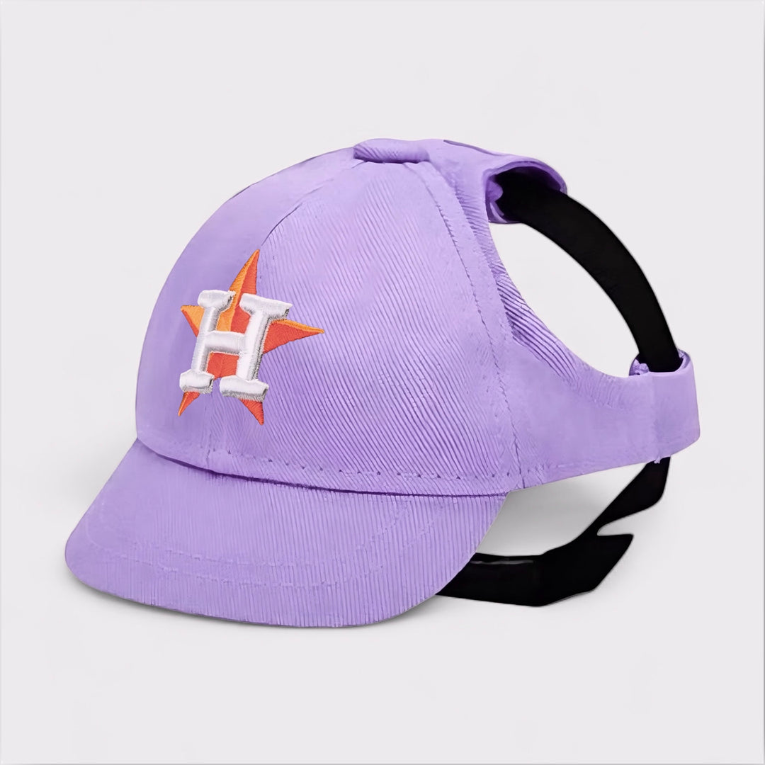 Houston Astros Dog Hat