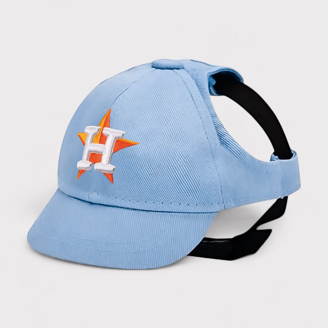 Houston Astros Dog Hat