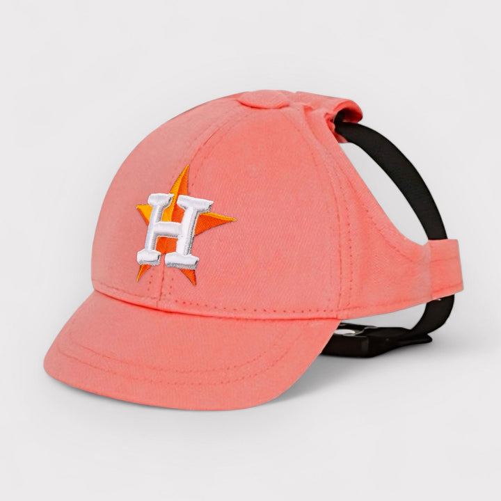 Houston Astros Dog Hat